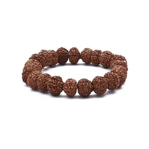 HI-TECH Traders Traditional Rudraksha Beads Bracelet, Brown, Spiritual Meditation Wrist Mala