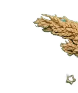 Bridal Necklace Set | Kundan and Pearl Combo