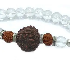 ASTROGHAR Natural Panch Mukhi Rudraksh White Crystal Bracelet For Men And women