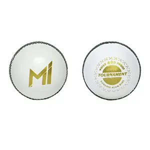 adidas playR x Mumbai Indians Super Tournament Leather Ball Pack of 2 - White