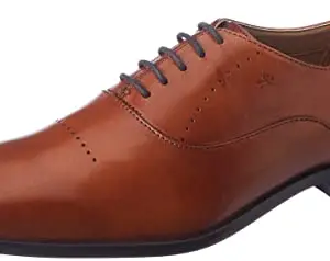 Arrow Men's Walsh TAN Leather LACE UP-10 UK (2FA21464K06)