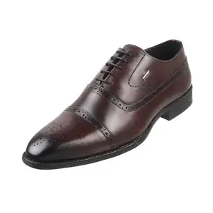 Mochi Men Wine Leather Brogue/Formal Shoes UK/7 EU/41 (19-6807)