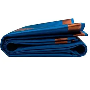 Kanchipuram Silk Saree Original Golden Design with Zari Intricate Jacquard Heritage Weave Traditional Zari Border & Contrast Pallu(Blue)