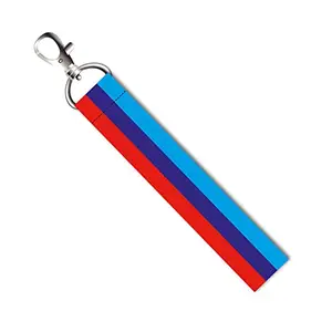 ISEE 360® Performance Strip Color Lanyard Tag with Swivel Lobster for Gift Luggage Bags Backpack Laptop Bags L X H 5 X 0.8 INCH