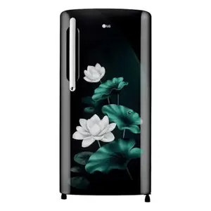 LG 201 L 3 Star Single Door Refrigerator with Smart Inverter Compressor, Direct Cool, Stabilizer Free Operation, Emerald Lotus (GL-B211HELD, 2025 Model)