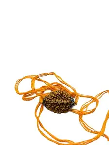 Original Two Mukhi Rudraksha Pendant with Orange Thread, Traditional Sacred Mala