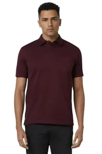 Van Heusen Men's Regular Fit T-Shirt (VHKWWRGF822508_Maroon