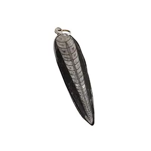 ASTROGHAR Multicolour King Size Kuber Finance Orthoceras Crystal Stone 70 mm Pendant for Men and Women