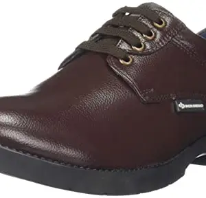 Don Diego Men's Semi Formal Lace Up Shoes - DD7008-Brown-45