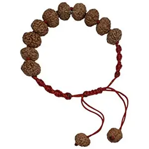 Trideva Blessings 8 Mukhi Rudraksha/Eight Face Rudraksha Bracelet - 12 Beads