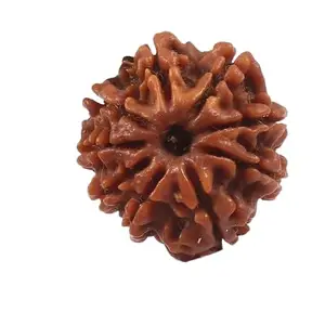 TRINETRA GEMS STONE नव मुखी रुद्राक्ष For Make Pendant Mala Superb 9 Mukhi Rudraksha Nepali Beads Original Nine Face Rudraksha IGL Lab Certified Premium Nau Mukhi Rudraksha For Women