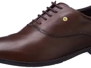 Hush Puppies Mens Oxford Shoe ADAM Oxford E 24 (8344245) _Dark Brown_UK9