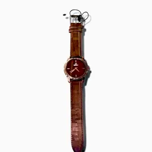 Kitty cat Men's Classic Brown Color Watch