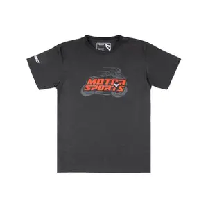 Dream Sporting Gear Men's Regular Fit T-Shirt (5635_Grey 2XL)