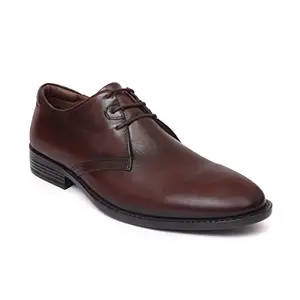 Zoom Shoes Men's Genuine Leather Formal Shoes for Office/Casual Wear A-4101 Brown