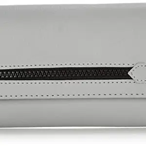 Baggit Women's Wallet (Grey)