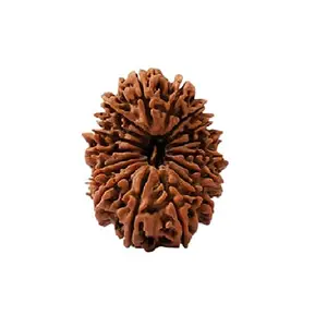 17 Face IGL Lab Tested Genuine & Pure 17 Mukhi Rudraksha Original Certified Silver Pendant (नेपाल रुद्राक्ष ओरिजिनल रुद्राक्ष पेंडल लॉकेट) for Men & Women BY SRT Rudra