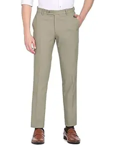 Arrow Men Regular Formal Trouser