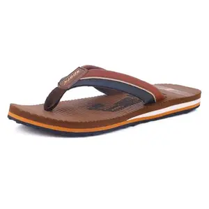 SPARX Flip Flop SFG 623 Brown For Men