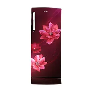 Haier 242 L 3 Star Single Door Direct Cool Refrigerator Appliance, Diamond Edge Freezing Technology (HRD-2423PRP-E, Red Peony,Floral, Base Drawer, 2022 Model)