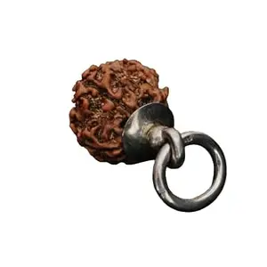 TRINETRA GEMS STONE Premium 1 Mukhi Gol Dana Rudraksha IGL Lab Certified Superb One Face Rudraksha For Make Pendant Natural Gol Dana Rudraksha Round गोल दाना For Men Women
