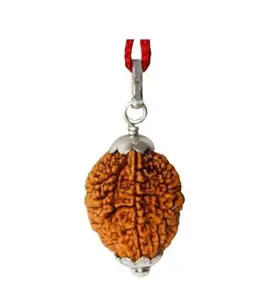 Natural 2 Mukhi Rudraksha Pendant, Genuine Nepali, Silver Capped