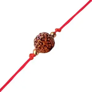 Vivastri Real Rudraksha Rakhi - [VIVA1231RKG]