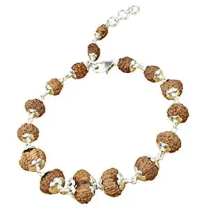 Trideva Blessings Rudraksha Sarvasiddhi Bracelet (1-14 Face Gaurishankar & Ganesh Rudraksha) - Indonesian Beads