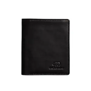BROWN BEAR RFID Protected Card Holder, Pull Card Storage, Hidden Pocket, Multiple Card Holder, Black