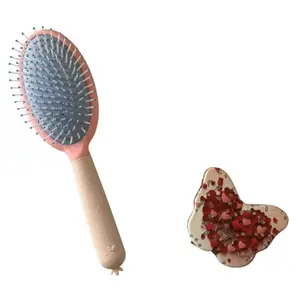 Oval Cute Hairbrush with Butterfly Shape Compact Mirror Unique Gift Combo for Makeup and Hair Styling