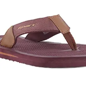 Sparx mens SF0097G Browntan Flip-Flop - 10 UK (SF0097GBRTN0010)