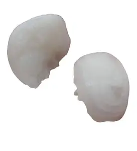 Divinity Healing Crystals Divinity Natural Machh Mani Sea stone - Reduces and Removes Rahu Impact. (Meen Mukta, Fish Stone, Fish Pearl)