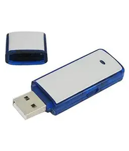GIZWORLD Electronics Spy Audio Digital Voice Recorder USB Flash Drive 8GB