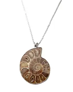 ASTROGHAR Natural Ammonite Crystal Pendant For Men And Women