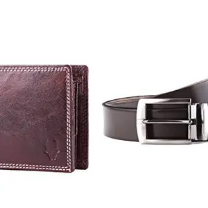 WildHorn Men’s Brown Wallet Combo