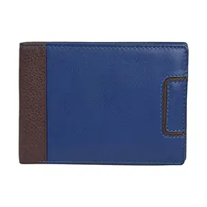 Leatherman Fashion LMN Men Blue, Brown Genuine Leather Wallet (6 Card Slots)