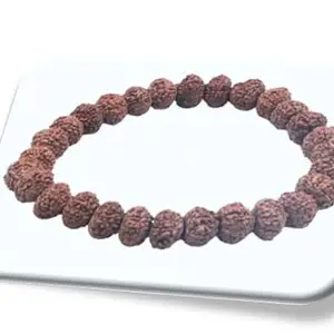 TRINETRA GEMS STONE Natural Brown 5 Mukhi Rudraksha Bracelet From Nepal Original Five Face Rudraksha For Fashion 5 मुखी रुद्राक्ष ब्रेसलेट IGL Lab Certified Panch Mukhi Bracelet For Men Women