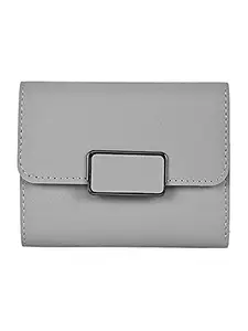 Apsis Synthetic Leather Mini Coin Purse Wallet for Women (Grey)