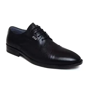 Zoom Shoes Genuine Leather Shoes for Mens A-4090 Black, 7 UK
