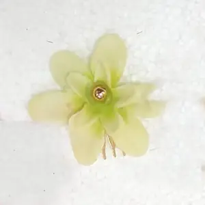 Medium Mini Comb Light Green | Clean & Classic