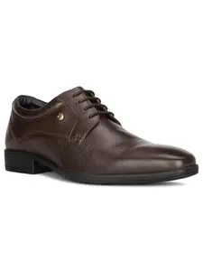 Hush Puppies Boston Derby 2.0 Mens Formal Shoe in Brown