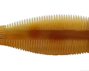 INSTOOK Natural Fish-Comb Salon Hair Cutting Styling Combs Wide Teeth Tail Anti-Static Hairdressing Brush BROWN COMB