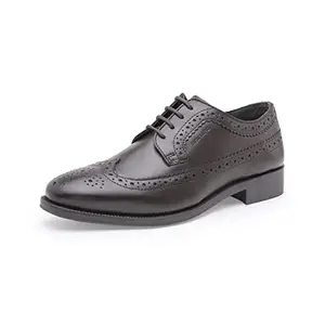 Red Tape Men Brown Brogue Shoes-10