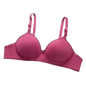 ARYANSH Shoppe Women's Cotton Blend Lightly Padded Wire Free T- Shirt Bra Full Coverage (in, Numeric, 32, Pink)