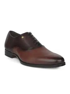 Hush Puppies Formal Oxford Shoes for Men Brown