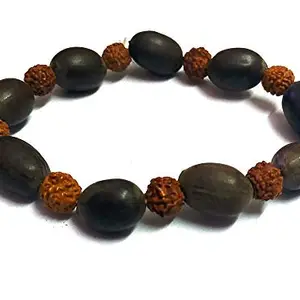 Astroghar Kamal gatta Lotus Seeds Rudraksha Beads Stretch Bracelet for Men & Women