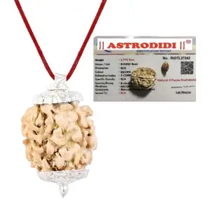 ASTRODIDI 3 Mukhi Rudraksha Original Certified Three Face Rudraksh Silver Plated Pendant for Astrological Benefits and Positive Energy | Unisex Design for Men & Women