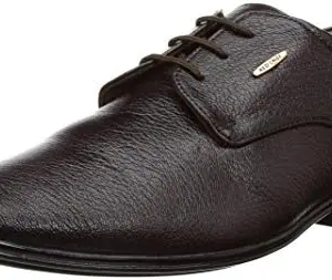 Red Chief Formal Derby Shoes for Men Brown