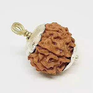 DeepMines Genuine 7 Mukhi Rudraksha Original Saat Mukhi Rudraksh Round Shap Nepal Beads सात मुखी रुद्राक्ष IGL Lab Tested Seven Face Real Rudraksha with Pendant Pure Silver सप्त मुखी रुद्राक्ष