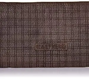 Calfnero Grey Women's Wallet (2591 WS-Grey)
